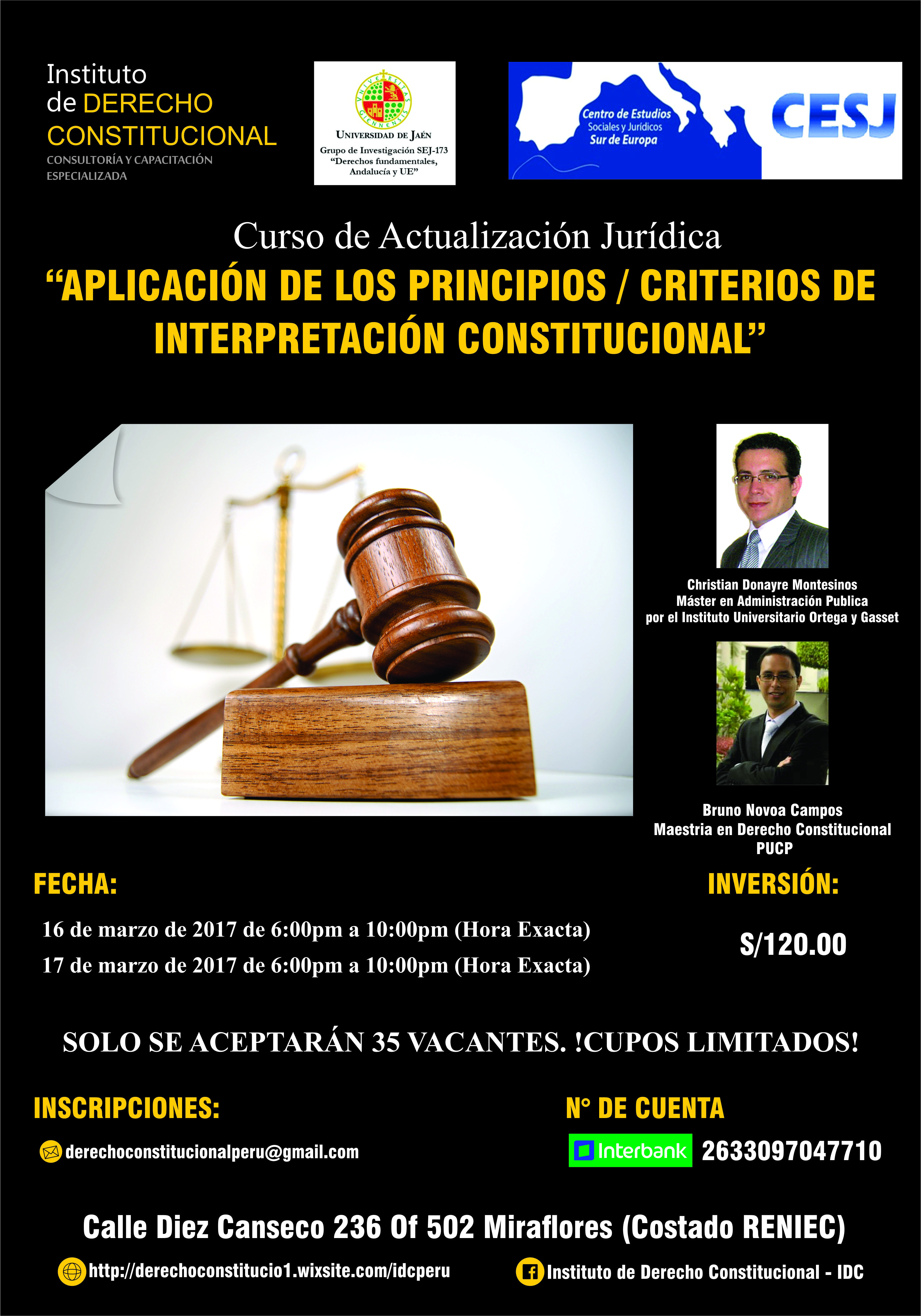 Curso de Actualización Jurídica: Aplicación de los Principios / Criterios de Interpretacion Constitucional